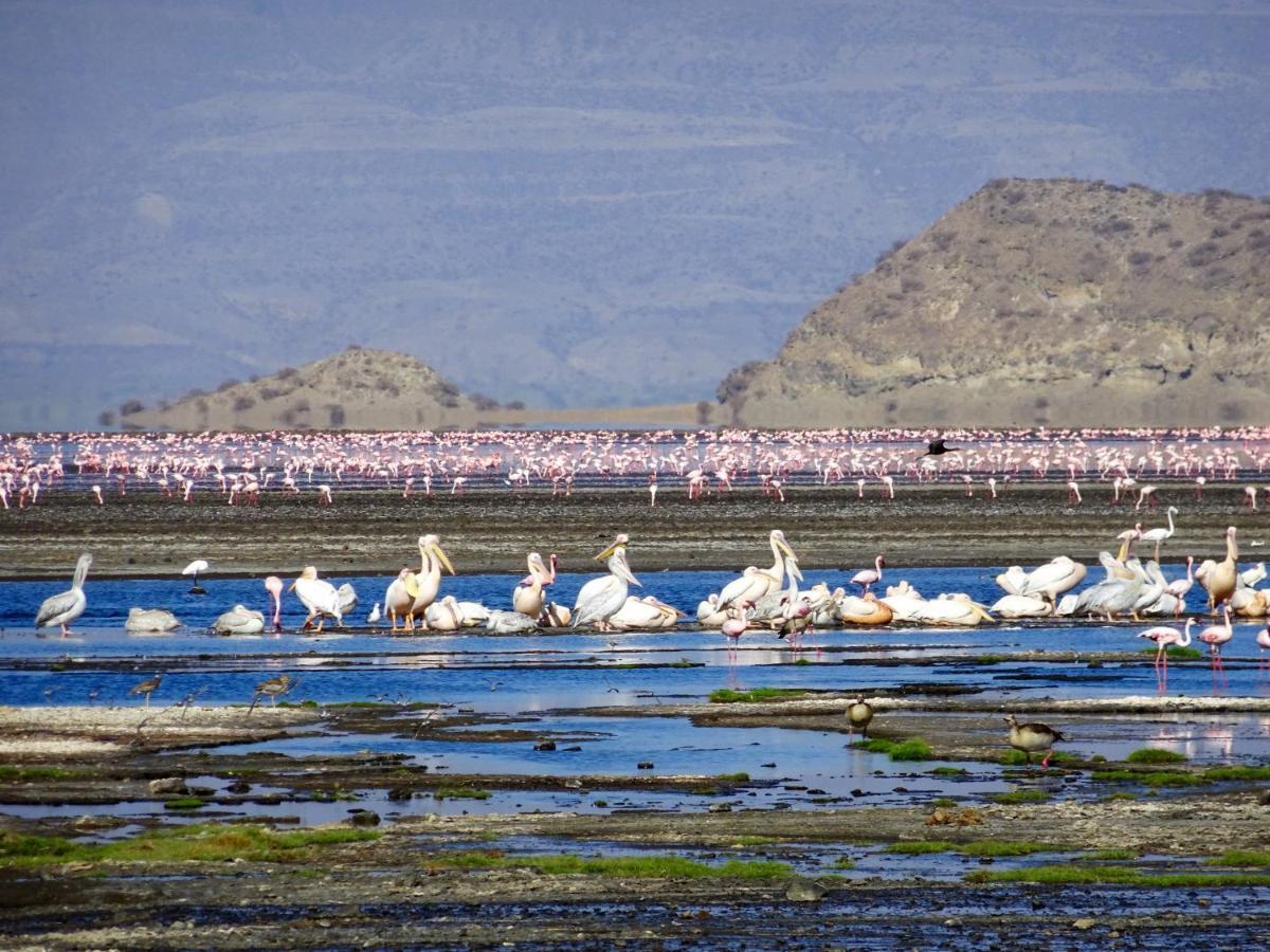 Africa Safari Lake Natron Mtowabaga Bagian luar foto